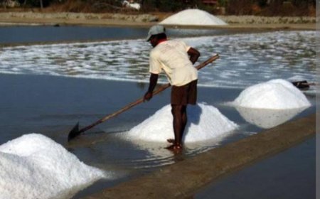 KKP Sebut,  Produksi Garam Nasional Lampaui Target Capai 2,5 Ton