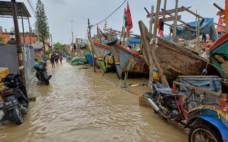 Prihatin  Banjir di Cirebon, Prof Rokhmin Tawarkan Jurus Jitu