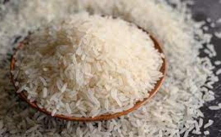 Pengamat Ekonomi Unpas : Faktor Penyebab Harga Beras Naik