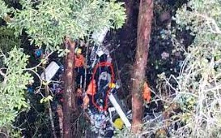 Berkat Lambaian Tangan, PIlot Pesawat Smart Air Jatuh di Nunukan Kaltim Ditemukan