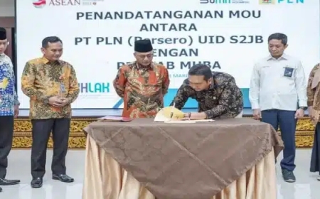 PJ Apriyani Mahmud Sebagai Bupati Banyuasin, 7 Desa di Mubah  Dapat Nikmati Listrik PLN