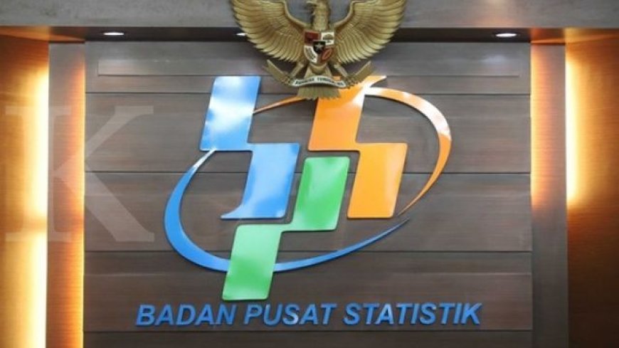 Alasan BPS Stop Pendapatan Potensi Desa Pada 2022-2023