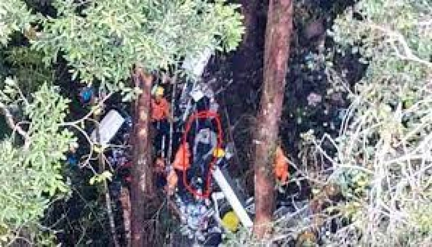 Berkat Lambaian Tangan, PIlot Pesawat Smart Air Jatuh di Nunukan Kaltim Ditemukan