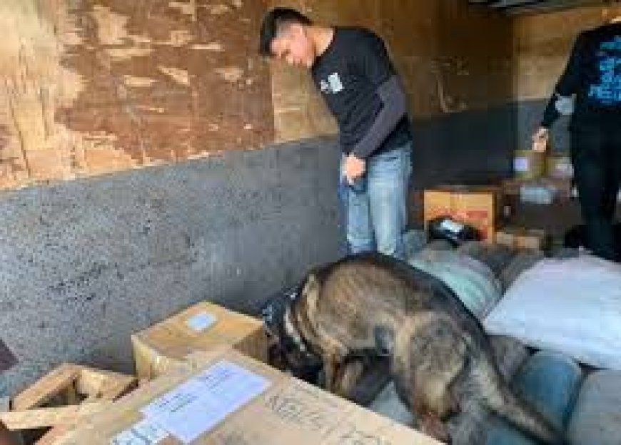 Bakauheni, Anjing K9 Polri Berhasil Gagalkan Peredaran 80 Kg Sabu dan 1.006 Ekstasi