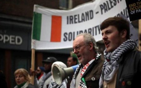 Protes Pendudukan Palestina, Irlandia Divestasi Enam Perusahaan Israel