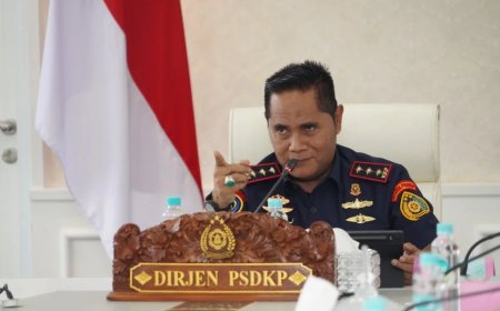 KKP Hentikan Sementara Pemanfaatan Ruang Laut Ilegal di Morowali