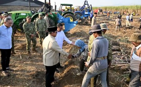 Presiden Pimpin Panen Raya: TNI Hadir Perkuat Kemandirian Pangan