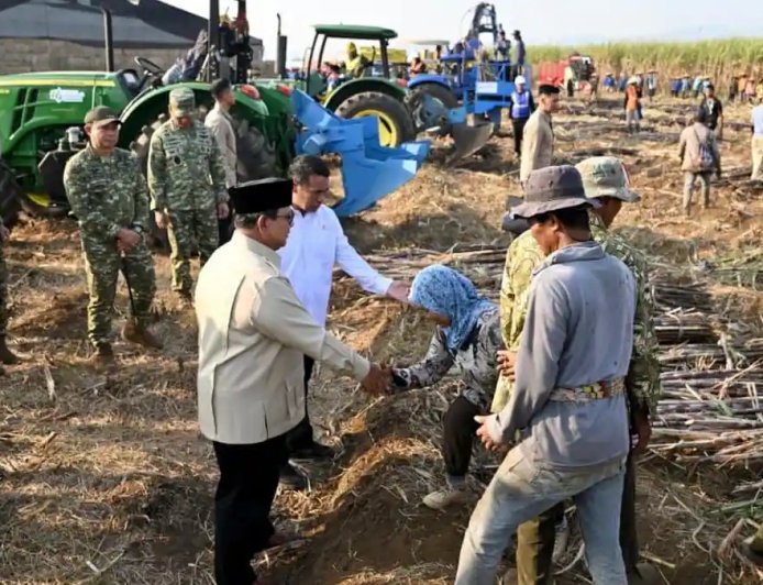 Presiden Pimpin Panen Raya: TNI Hadir Perkuat Kemandirian Pangan