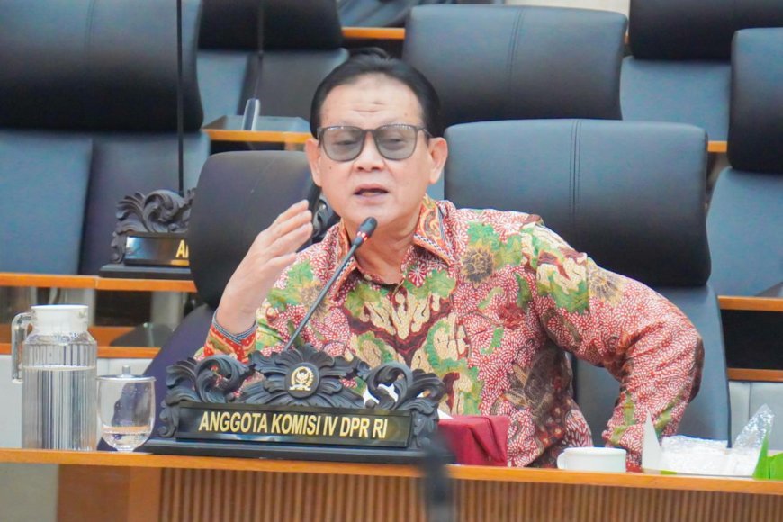 Prof Rokhmin: Penyelundupan Benih Lobster Capai Rp16 Triliun per Tahun, Perlu Perpres dan Penegakan Hukum Tegas